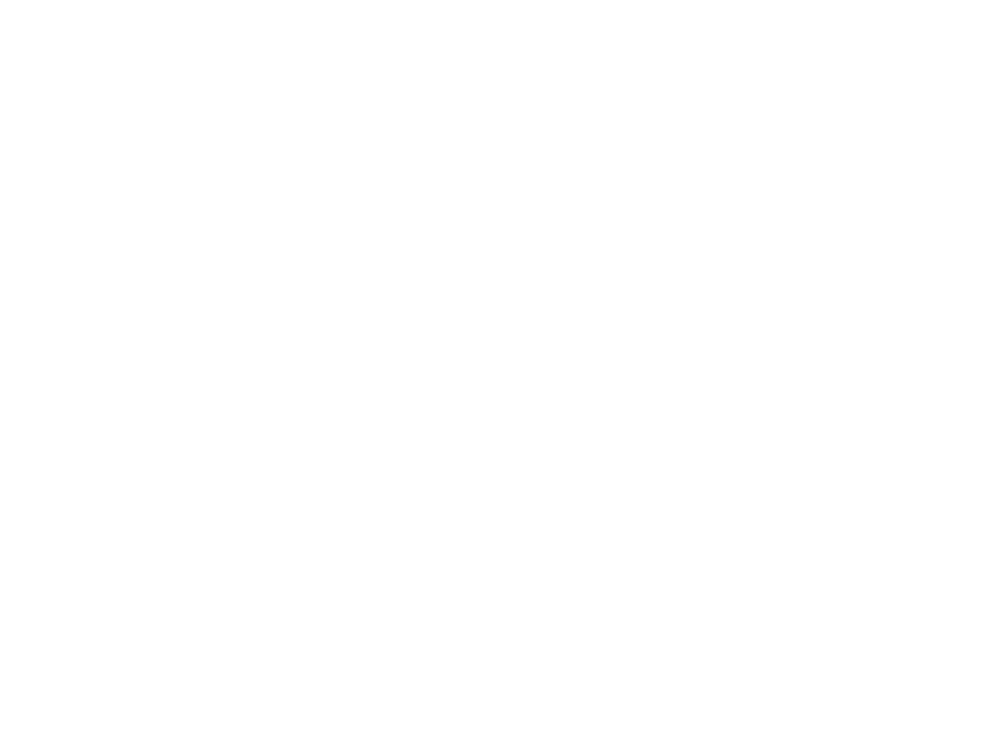 APN Logo